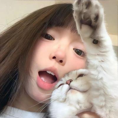一本正经